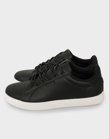 TRENT ANTHRACITE