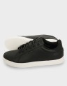 TRENT ANTHRACITE