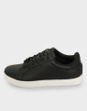 TRENT ANTHRACITE