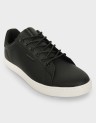 TRENT ANTHRACITE