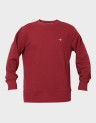 GRAPHIC C-NECK SWEAT