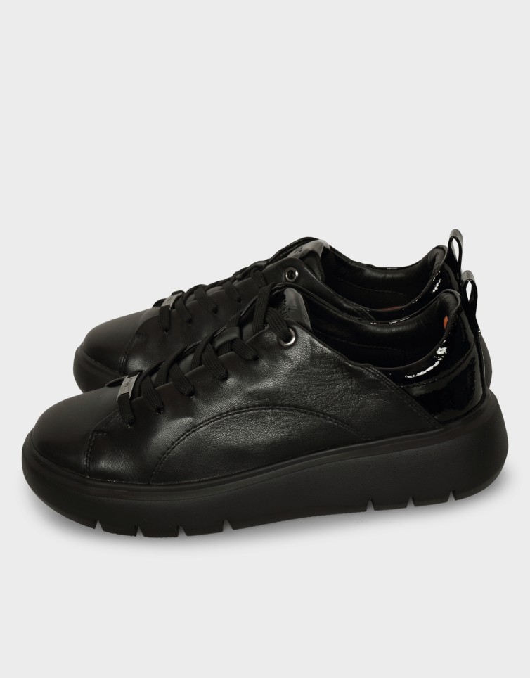 VENIER DERBY