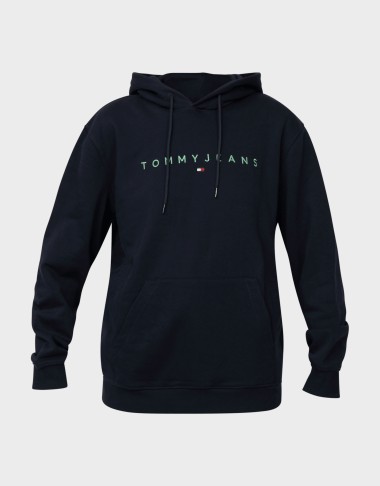 REG LINEAR LOGO HOODIE