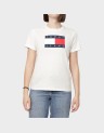 REG TJ FLAG SS TEE