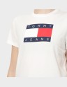 REG TJ FLAG SS TEE