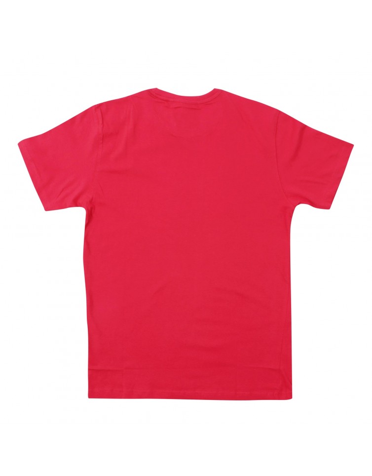 MENS TSHIRT 2224