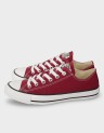CHUCK TAYLOR ALL STAR LOW SEASONAL