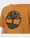 KENNEBEC RIVER TREE S/S