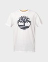 KENNEBEC RIVER TREE S/S