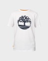 NORTHWOOD TREE LOGO TEE