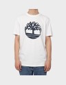NORTHWOOD TREE LOGO TEE
