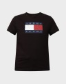 REG TJ FLAG SS TEE