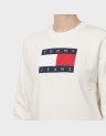 REG TJ FLAG CREW