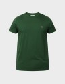 COTTON PIMA
