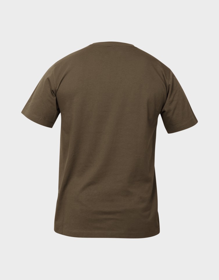 M EVOLUTION SIMPLE DOME