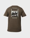 M NORTH FACES REGULAR