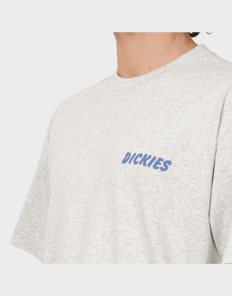 DRY RIDGE SS TEE
