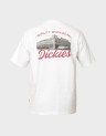 WELLSVILLE SS TEE
