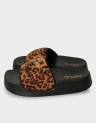 NEW LOTTY WILD