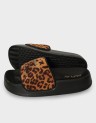 NEW LOTTY WILD