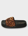 NEW LOTTY WILD