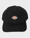 6 PANEL LOGO CAP