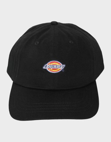 6 PANEL LOGO CAP