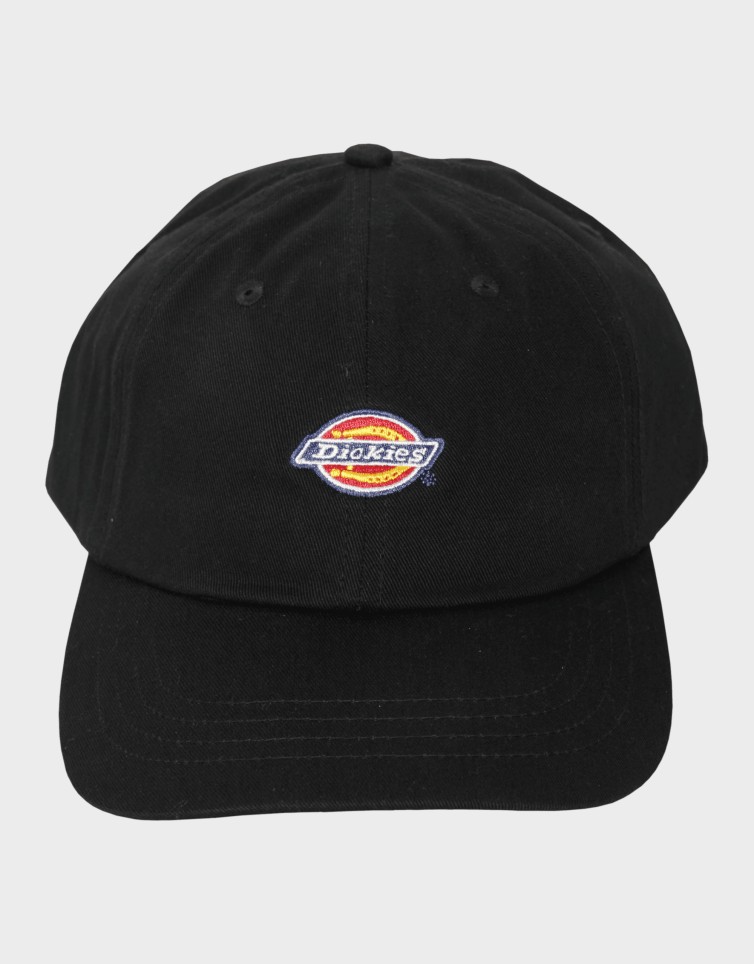 6 PANEL LOGO CAP