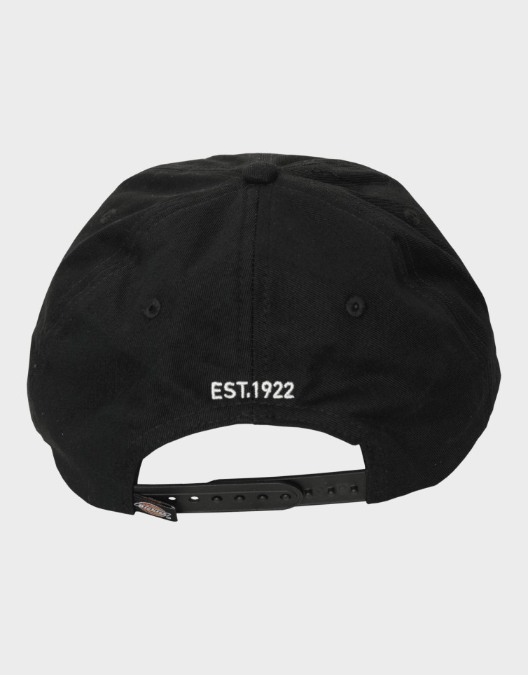 6 PANEL LOGO CAP