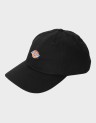 6 PANEL LOGO CAP