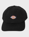 6 PANEL LOGO CAP