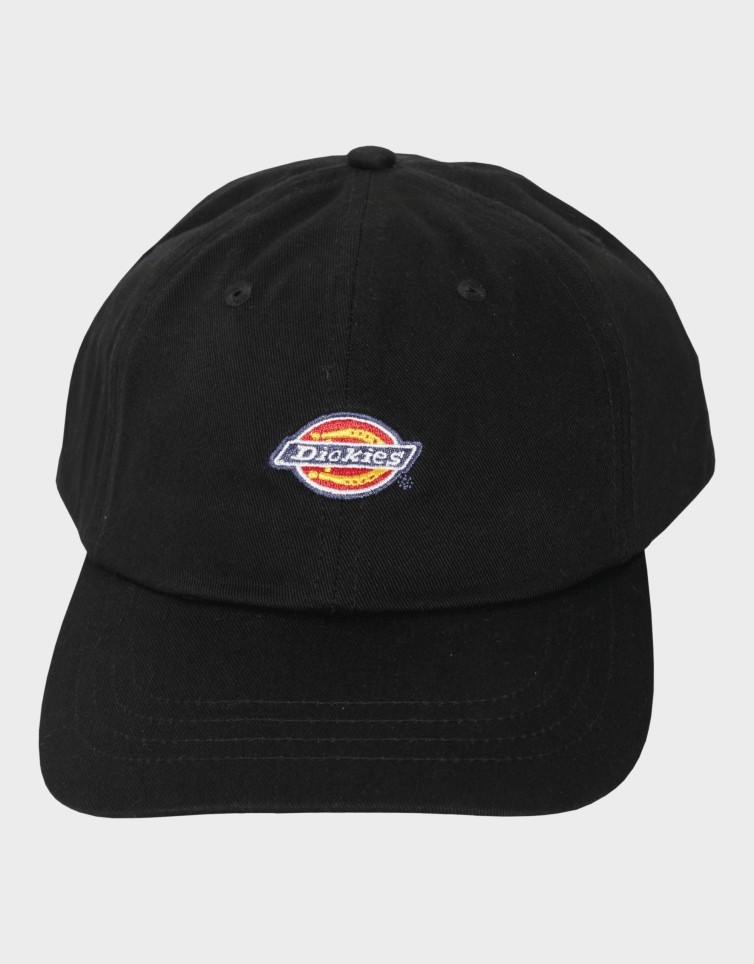 6 PANEL LOGO CAP