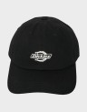 ESSENTIAL DAD CAP