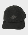 DUCK CANVAS DAD CAP