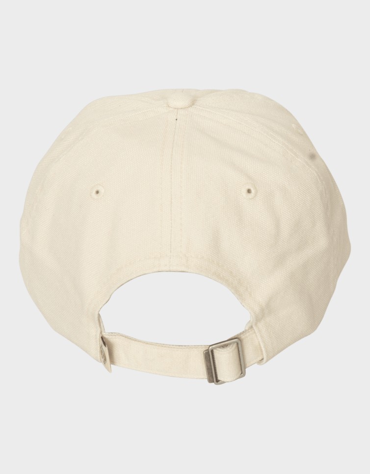 DUCK CANVAS DAD CAP