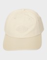 DUCK CANVAS DAD CAP