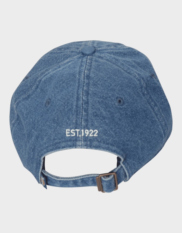 DENIM DAD CAP