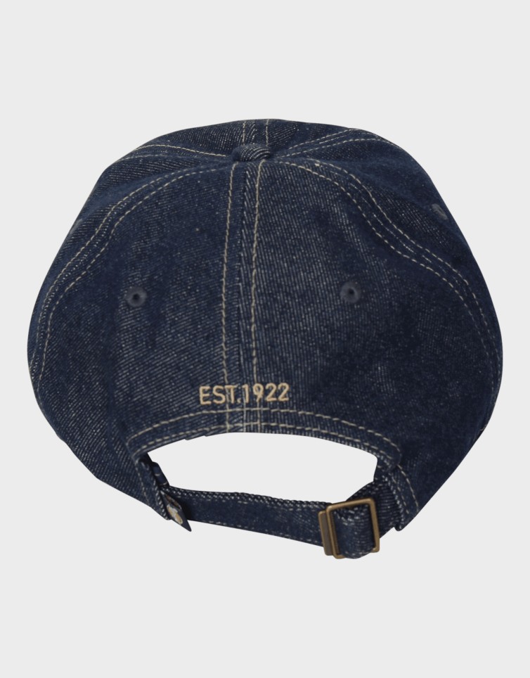 DENIM DAD CAP