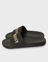 D2 SDNA PREMIUM METALLIC POOL SLIDE