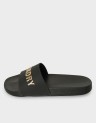 D2 SDNA PREMIUM METALLIC POOL SLIDE