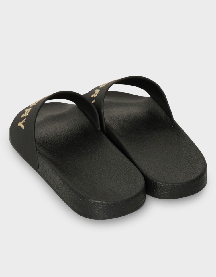 D2 SDNA PREMIUM METALLIC POOL SLIDE