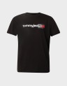 REGULAR ENTRY DNA TEE