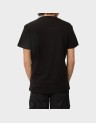 REGULAR ENTRY DNA TEE