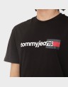 REGULAR ENTRY DNA TEE