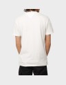 REGULAR ENTRY DNA TEE