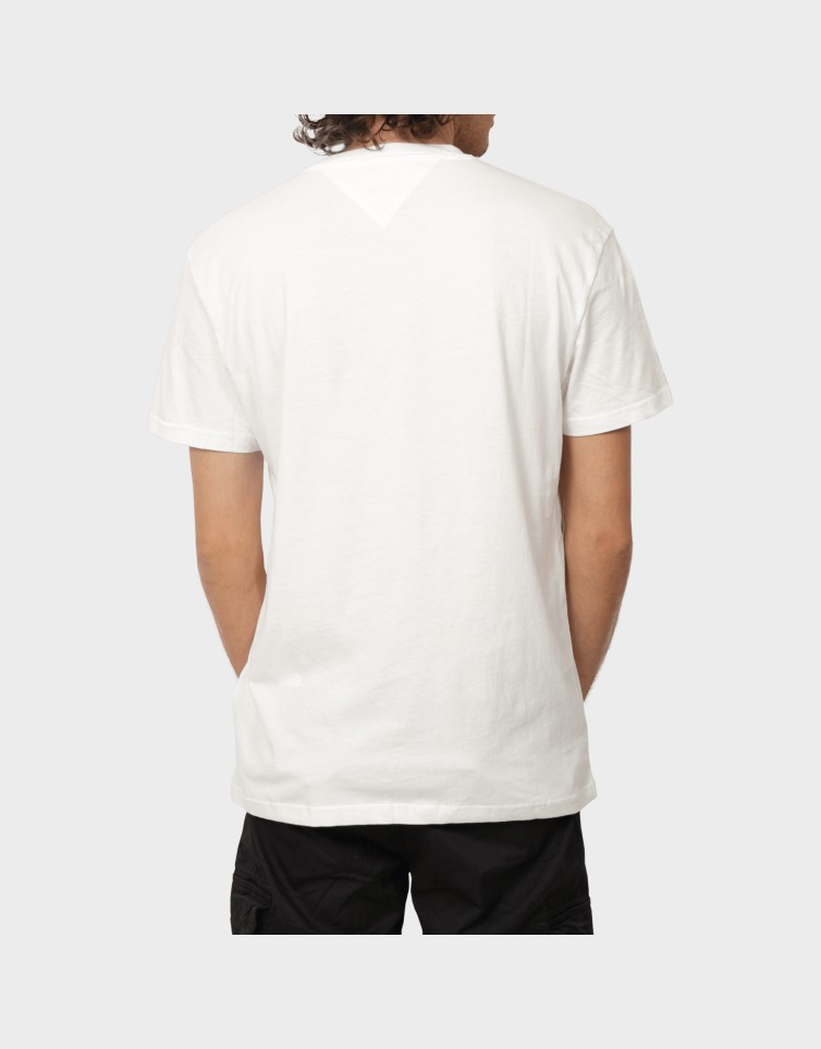 REGULAR ENTRY DNA TEE
