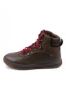 ALPINE 100-SK-ATH