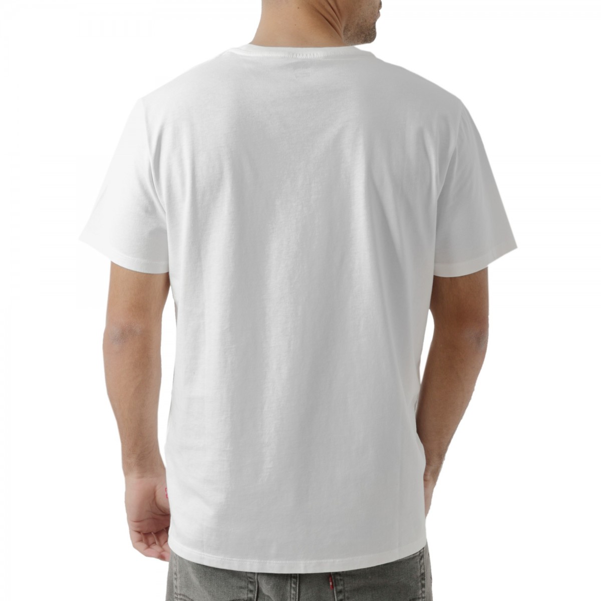 IN NECK 2 MENS T2 SS