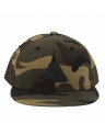 PANEL TWILL CAP